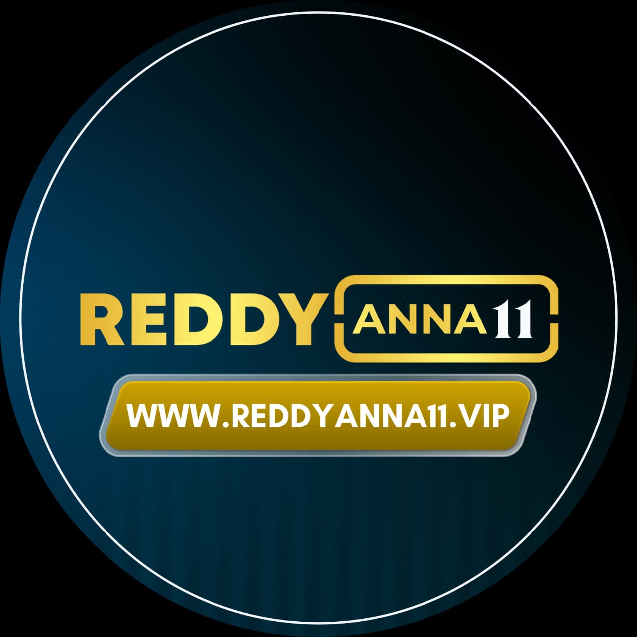 Reddy Anna book official website